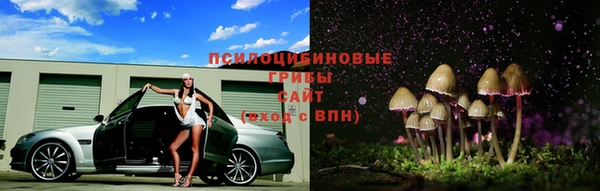 стафф Абинск