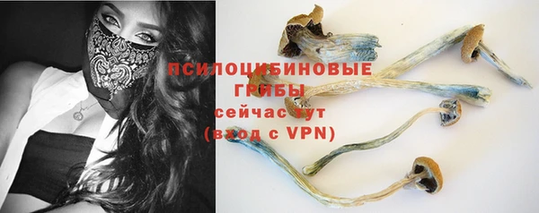 стафф Абинск