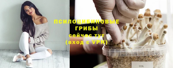 стафф Абинск