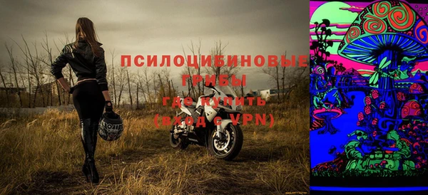 стафф Абинск