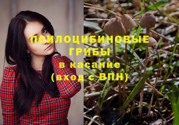 стафф Абинск