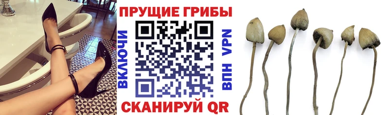 Псилоцибиновые грибы Magic Shrooms  Мамоново 